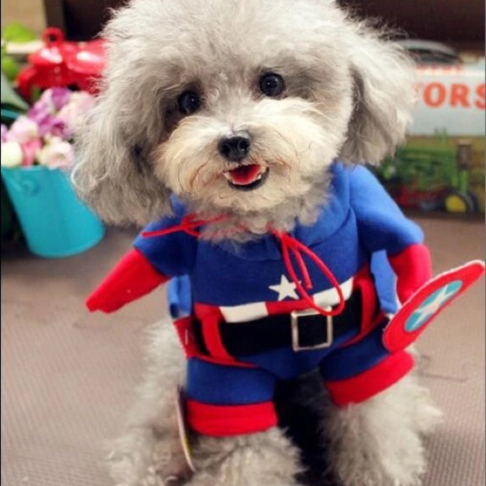 Captain Pet Costume Dog Cat For Small Dog